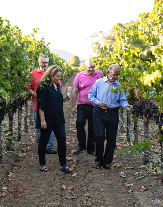 Groth Vineyards and Winery - Generational Business - Groths Inspecting Vines
