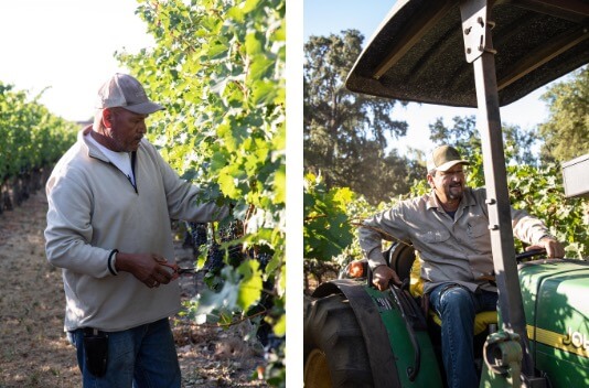 Groth Vineyards and Winery - Rooted in Oakville - Winemaking - Ben Forgeron - Vineyard Manager