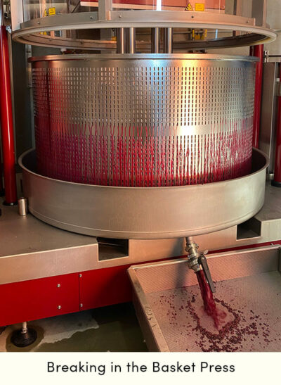 Groth Harvest 2022: Breaking in the basket press