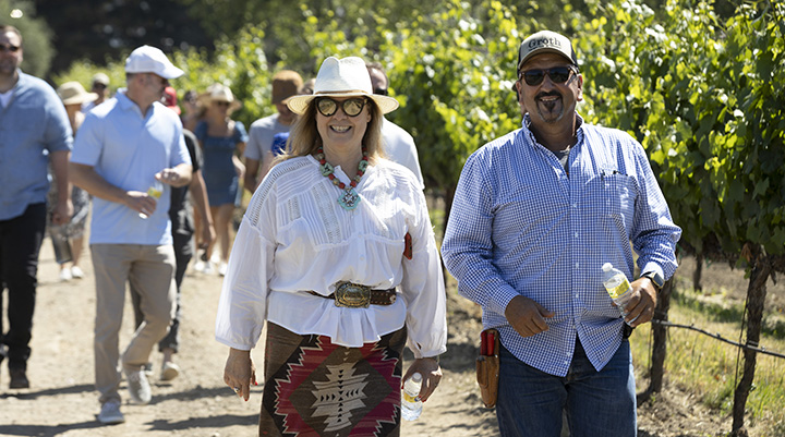 Groth Vineyards and Winery - Rooted in Oakville - Estate - Grape Vines