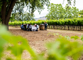 Oakville Summer School_How Wine is Grown