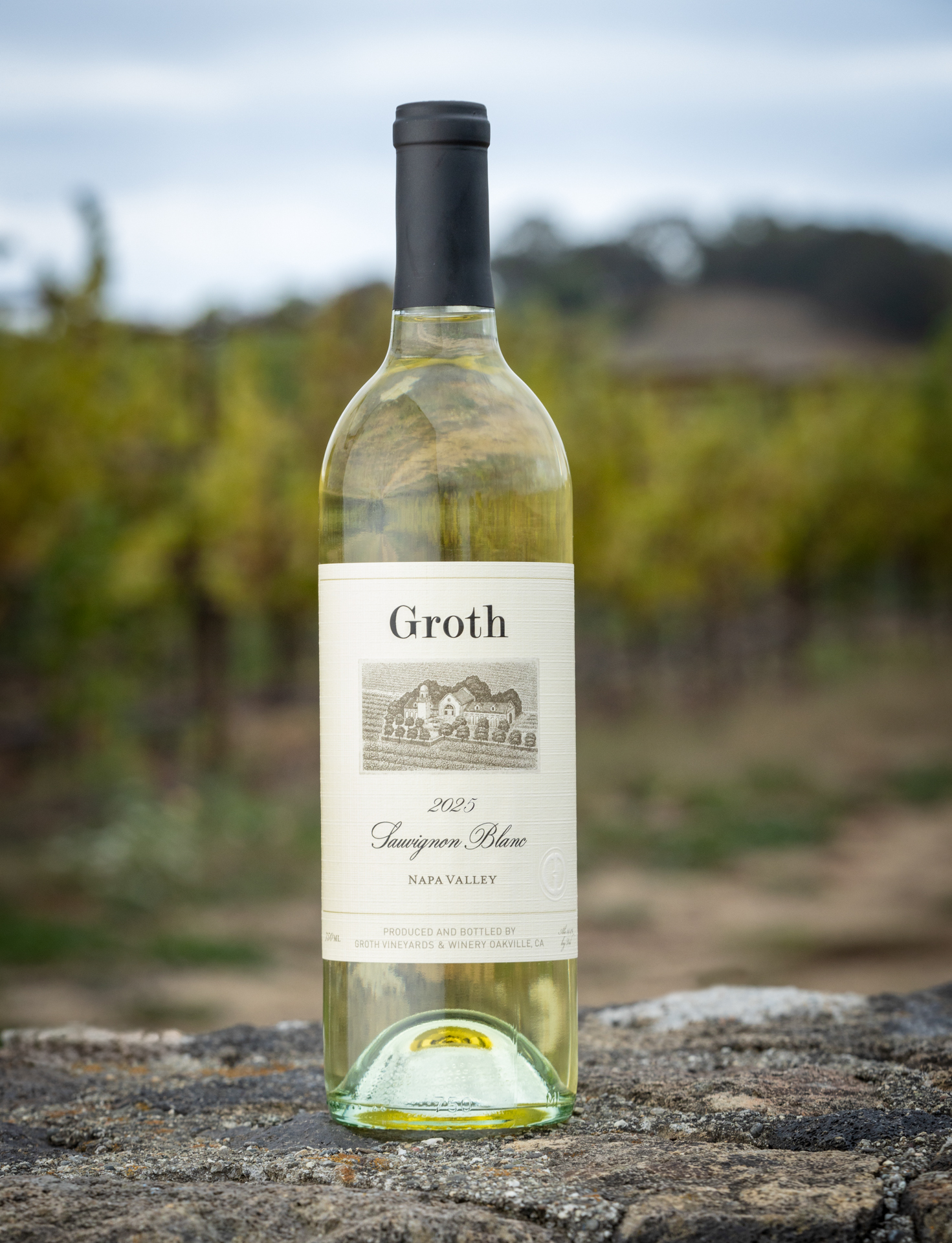 2025 Sauvignon Blanc, Napa Valley 